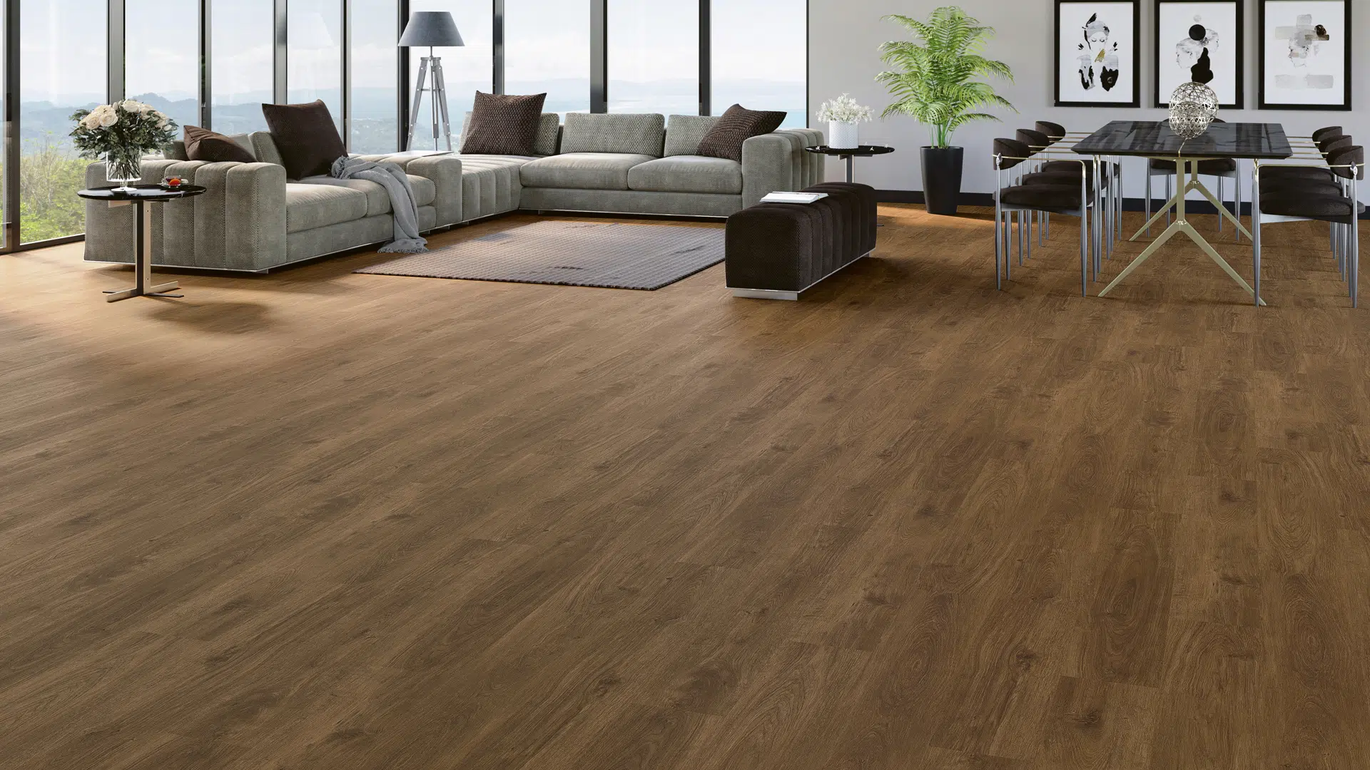 ye terraclick lima1727853457.88 1